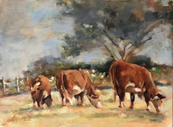 Farm Afternoon