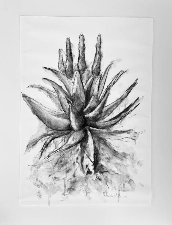 Charcoal drawing on paper