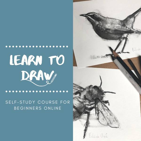 Learn to Draw
