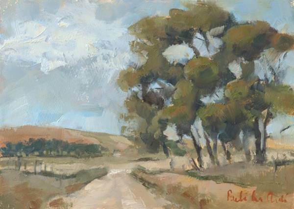 'Road to Napier, Overberg’