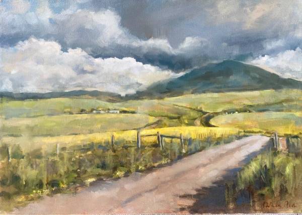 'Overberg Canola'