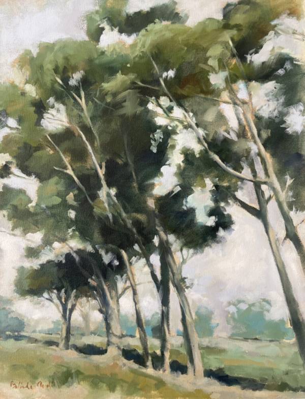 'Somerset Blue Gums'