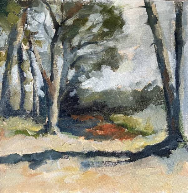 'Vergelegen Pines No.2’