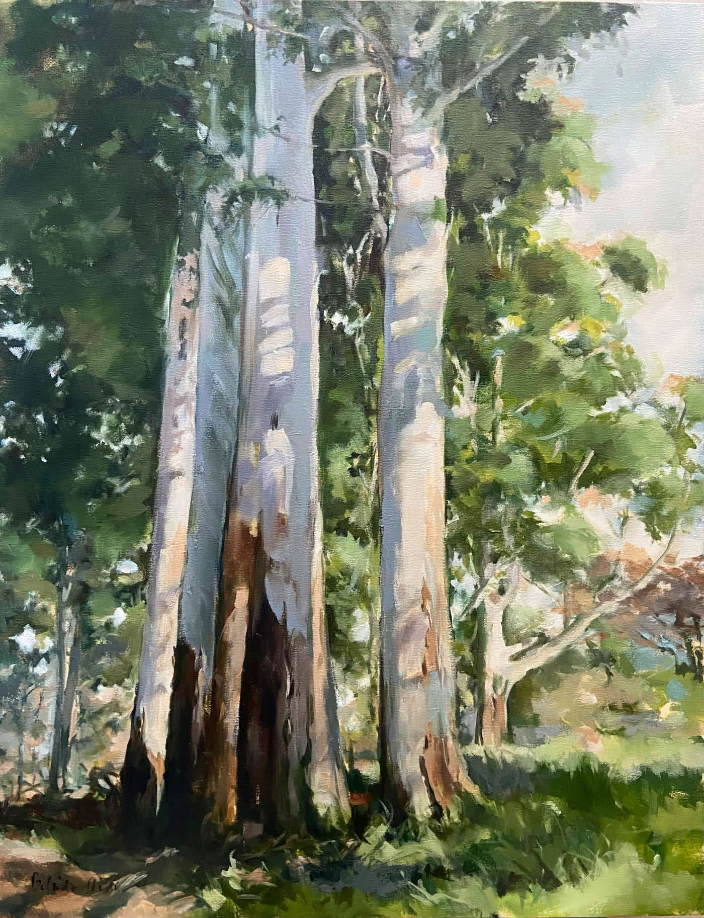 Painting 'Trees' - Oil on canvas by Belinda Arde - South African Landscape Artist