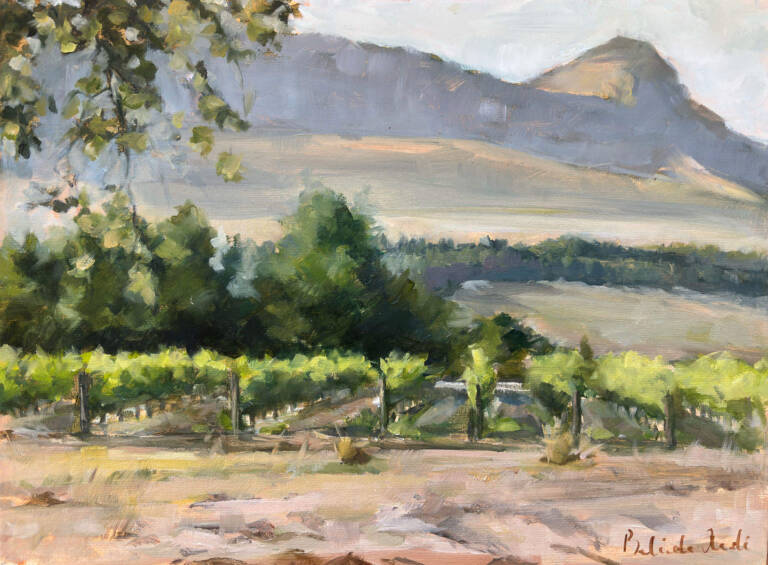 Belinda-Arde-cork-forest-view-oil-on-canvas-2024